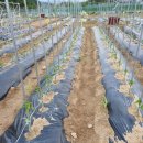 세정농장 이미지