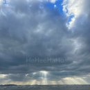 몽푸하우스 이미지