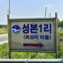 성본1리(최성미) | 대소면 성본리 쌍충재(大所面 城本里 雙忠齋)