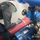 주식회사 바이패스