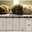 금성당약국 이미지