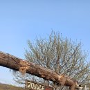 정글바베큐 | [정글 바베큐 후기] 판교에서 즐기는 도심 속 캠핑 감성 바베큐