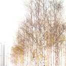 배다리저수지 사거리/시대한우리아파트앞 | 경기도 삼남길 제10길 소사원길