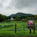 장화공원 이미지