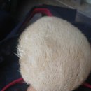 광원민박 이미지