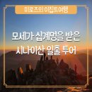 [이집트 여행] 시나이산 일출 투어 리얼 후기(샤름 엘 셰이크 출발)