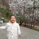 정원민박 - 포항시 북구 해안로2271번길 2 | 정원민박