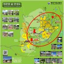 Re: 제127차 ＜수요산행＞ 제왕산&국가숲길 대관령소나무숲(안내1) 이미지