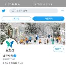 과천시청 이미지