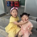 새시장식육식당 | 경산 자인 소고기 맛집 새시장 식육식당 아이들이랑 다녀온 후기(재재재방문)