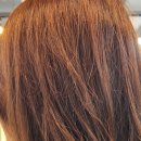 보라미용실 | 범계역 머리 잘하는 미용실 몽쉘살롱 브라운 염색 후기 | feat. 보라 실장님