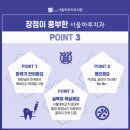 서울아이치과의원 이미지