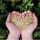 우리안마원 이미지