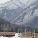 용대 자연농장 네이버블로그