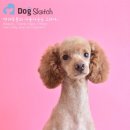 봉구애견미용샵 이미지