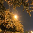 우장산공원 이미지