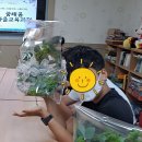 삼천포제일중학교 이미지