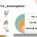 향기로운유치원 이미지