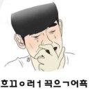 루트빈 이미지