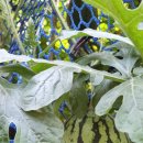 고담농장 이미지