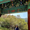 외씨버선길(치유의길) | 외씨버선길 7코스(치유의 길)