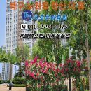 더 휴 Daum카페