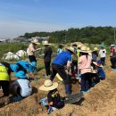 포리초등학교 이미지