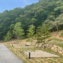 버드나무캠핑장 이미지