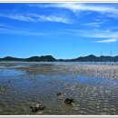 죽림어촌체험마을 이미지