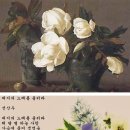 대지의 노래 이미지