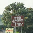 대구소막창 홍봉근꼼장어 | 단양여행 (만천하스카이워크, 전망대 카페, 홍봉근대구소막창부산꼼장어)/ +단양맛집추천