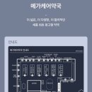 호만빌딩앞 | 150평대 세종/대전 최대규모 약국 세종 메가케어약국 신규오픈 실제 방문후기 (약종류 보고가세요!)