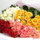 (주)예람 이미지