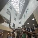 겟다운 게임기획 | [포항] 포항 아이와 가볼만한곳, 경상북도교육청 과학원 &amp; 수학문화관 후기 😊