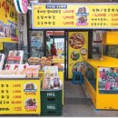 생생새우 이미지