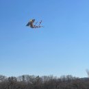 마음스테이 이미지