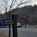 솔마루길 대공원산 이미지