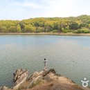 충북 옥천의 비경, 부소담악(芙沼潭嶽) – 물 위에 펼쳐진 기암절벽의 대서사시