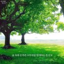 푸른나무 이미지