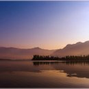 봄의기운 이미지