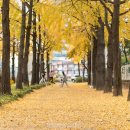 양덕동460 이미지