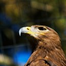 꿈의숲 라포레스타 이미지