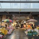 활어시장회도매센타 이미지