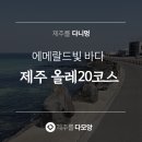 다모앙 제주