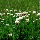 신덕마을 이미지