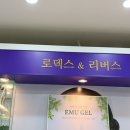 로덱스앤리버스 네이버블로그