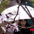 진해구 ⓒ-42 이미지