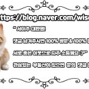케이부동산공인중개사사무소 이미지