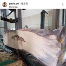 광림제재소 이미지