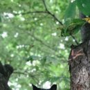 가증농장 이미지